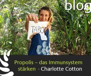 Propolis, das Immunsystem stärken